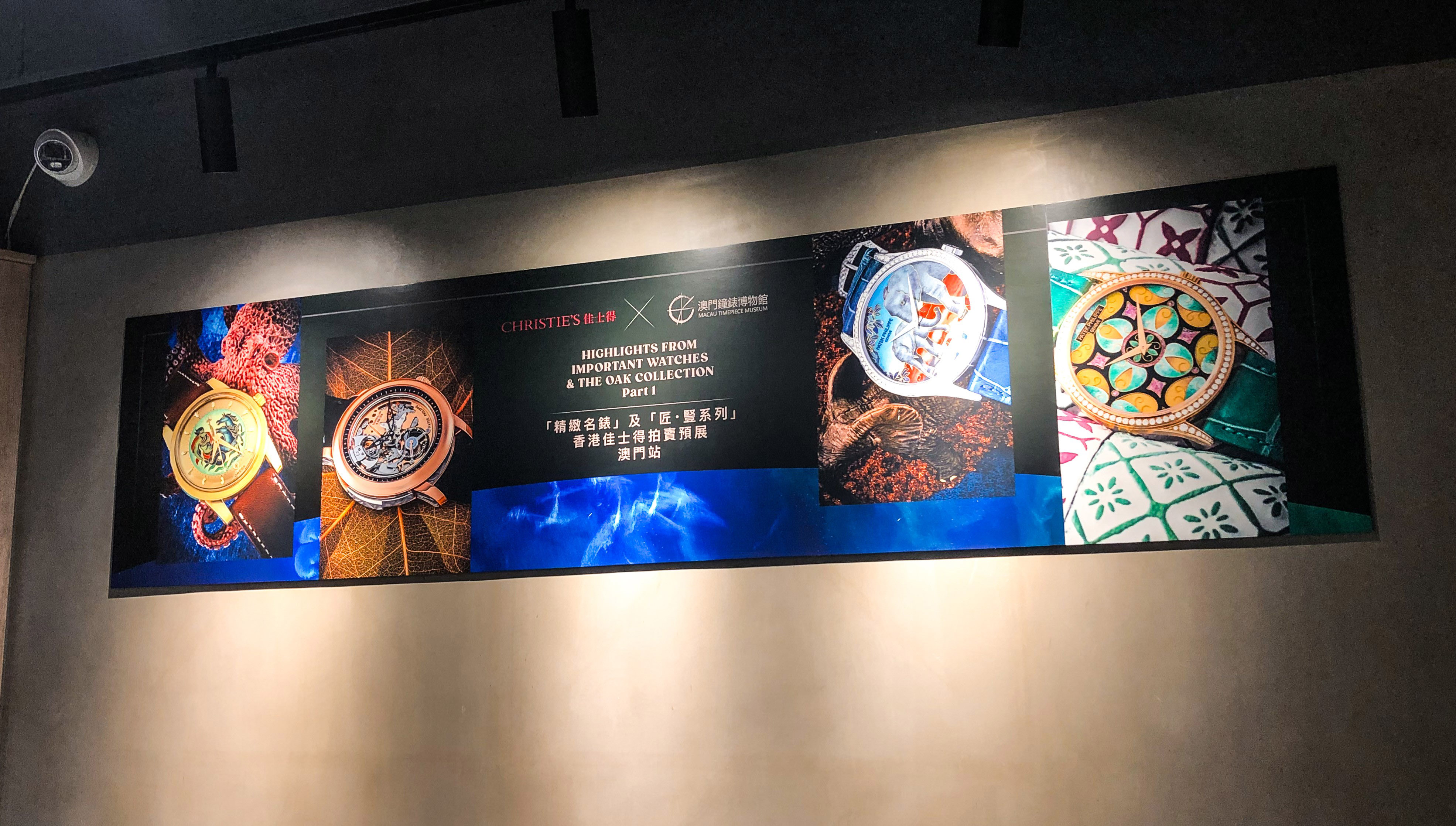 圖片_20231031111450-2.jpg